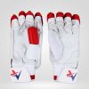 A3 Sports Crown Batting Gloves
