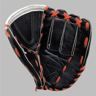 Catcher's Mitt Elite Edition